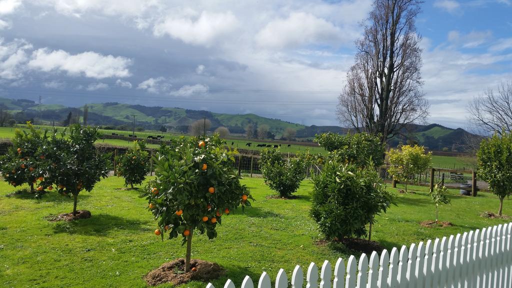Bed & Breakfast Homestead 2*